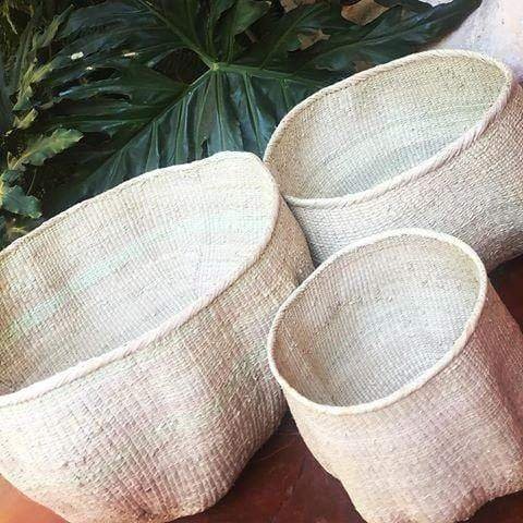 20186134708392_5000x (1)