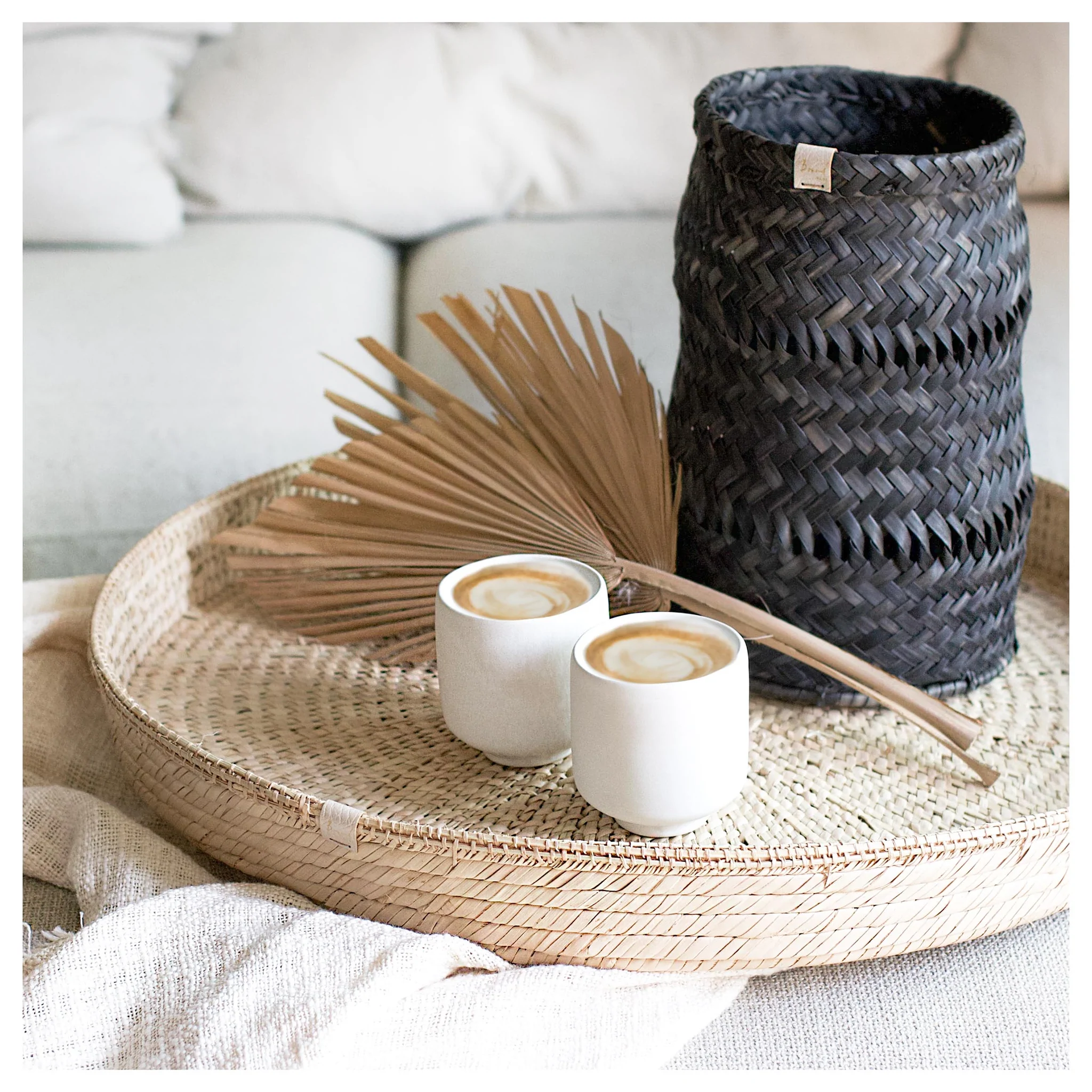 BIF-247_1024x1024@2x