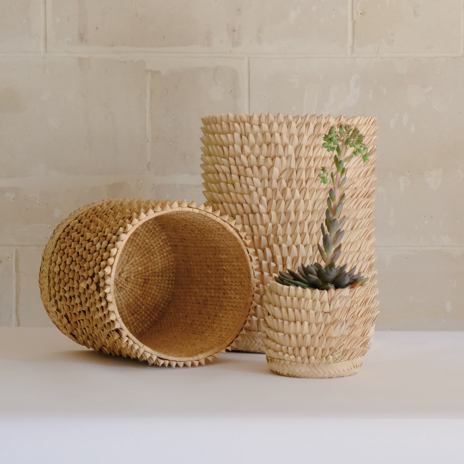 Porcupine Baskets - 4