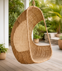 Hanging Egg Chair 4