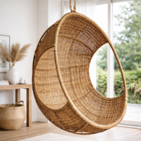 Hanging Pod Chair 2