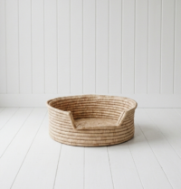 Pet Basket 4
