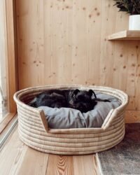 Pet Baskets (6)