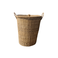 IMG-20250731-WA0052-Photoroom (1)